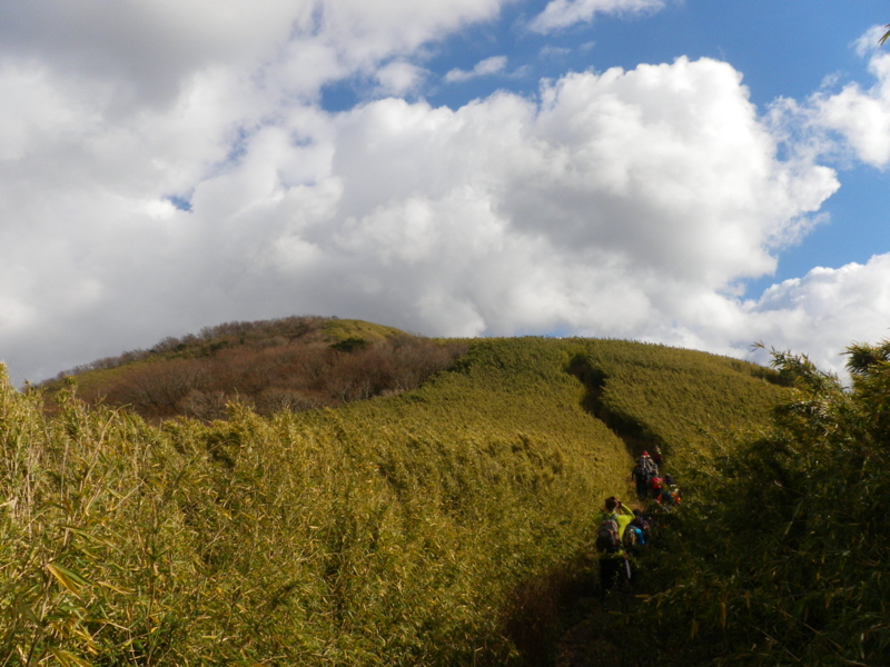 f:id:s-field0808:20130116185755j:image:w360