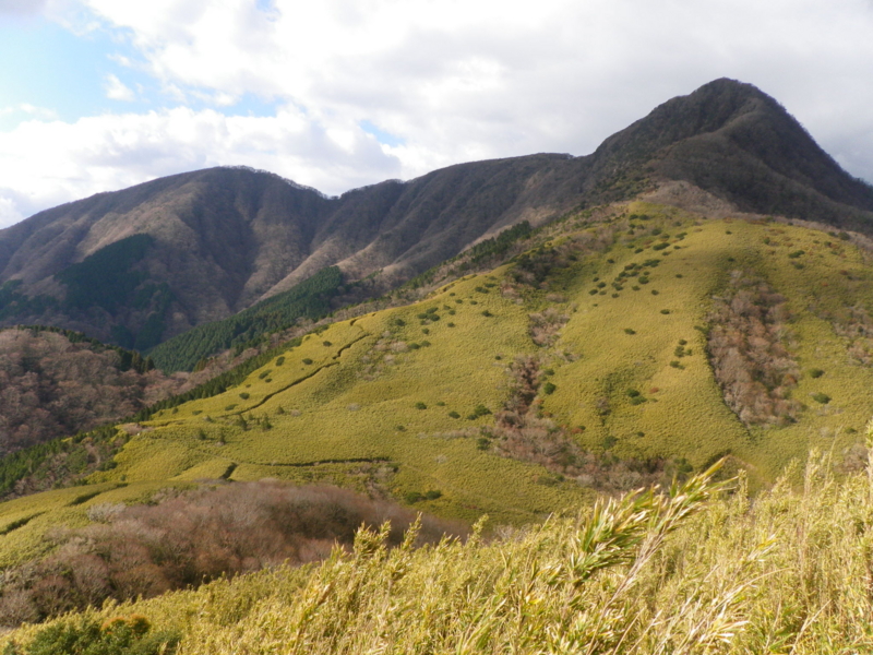 f:id:s-field0808:20130116185955j:image:w360