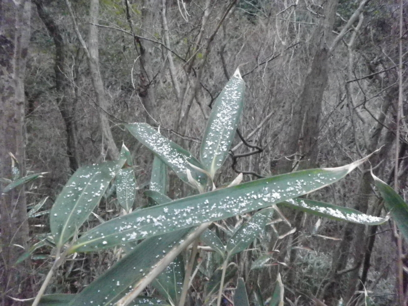 f:id:s-field0808:20130116190430j:image:w360