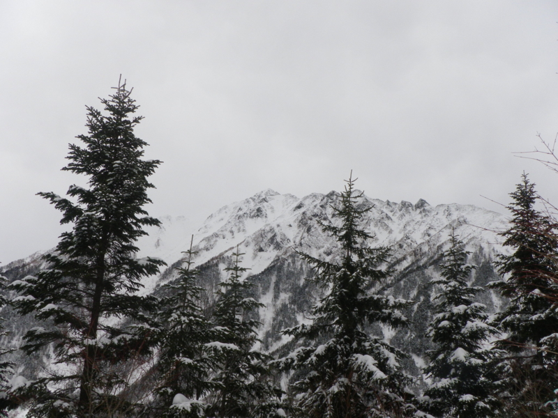 f:id:s-field0808:20130118104900j:image:w360