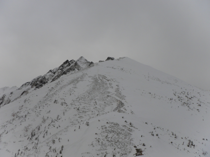 f:id:s-field0808:20130118110136j:image:w360