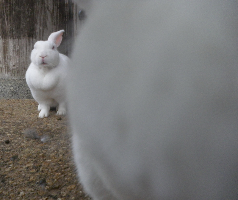 f:id:s-field0808:20130119133018j:image:w360