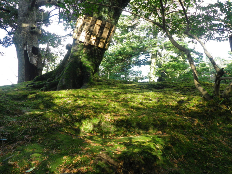 f:id:s-field0808:20130119133135j:image:w360