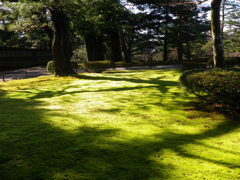 f:id:s-field0808:20130119133226j:image:w360