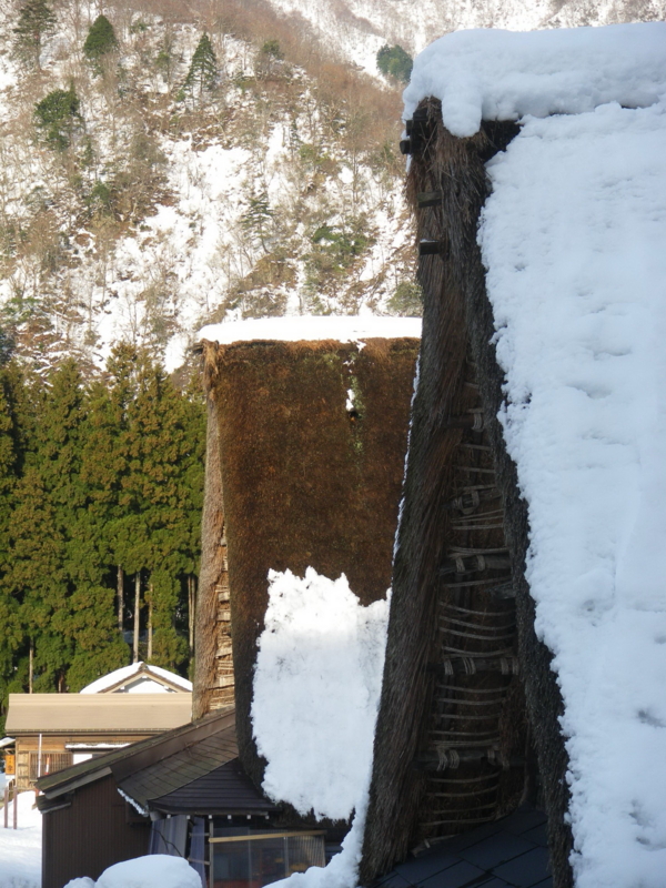 f:id:s-field0808:20130119133819j:image:w360