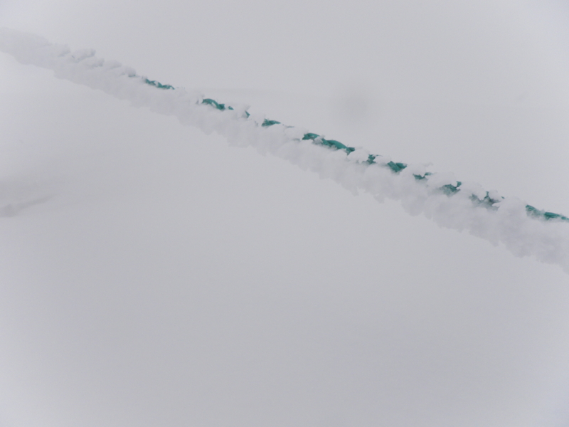 f:id:s-field0808:20130120173155j:image:w360