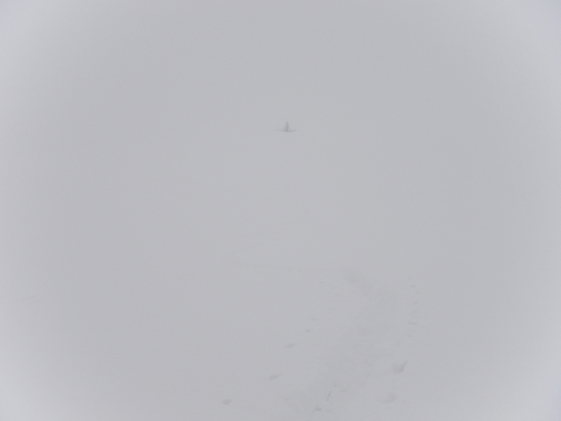 f:id:s-field0808:20130120174329j:image:w360