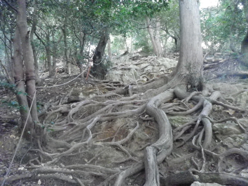 f:id:s-field0808:20130123201237j:image:w360
