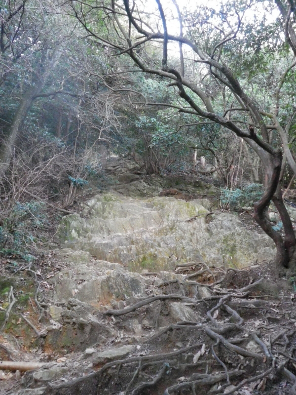 f:id:s-field0808:20130123201242j:image:w360