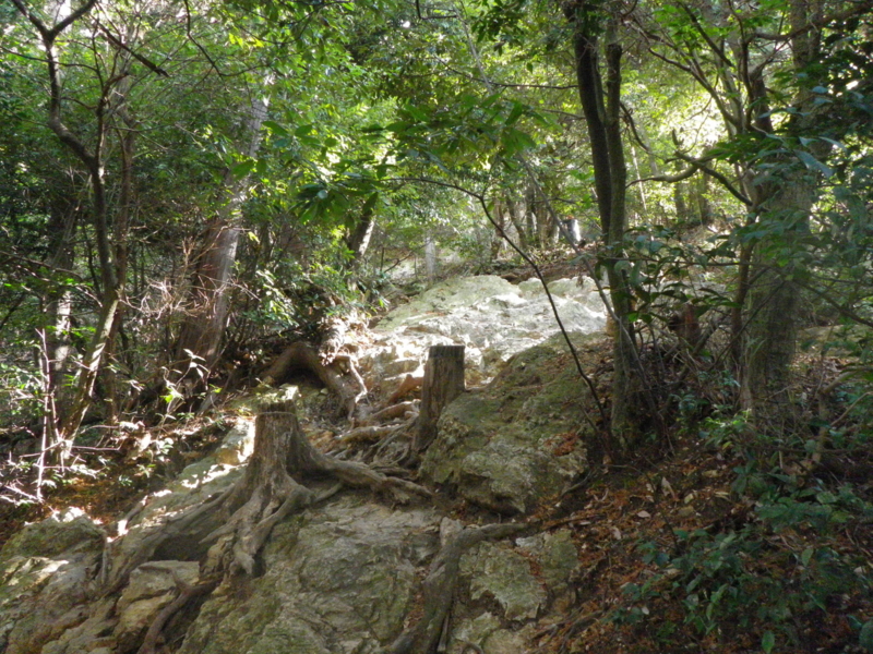 f:id:s-field0808:20130123201652j:image:w360