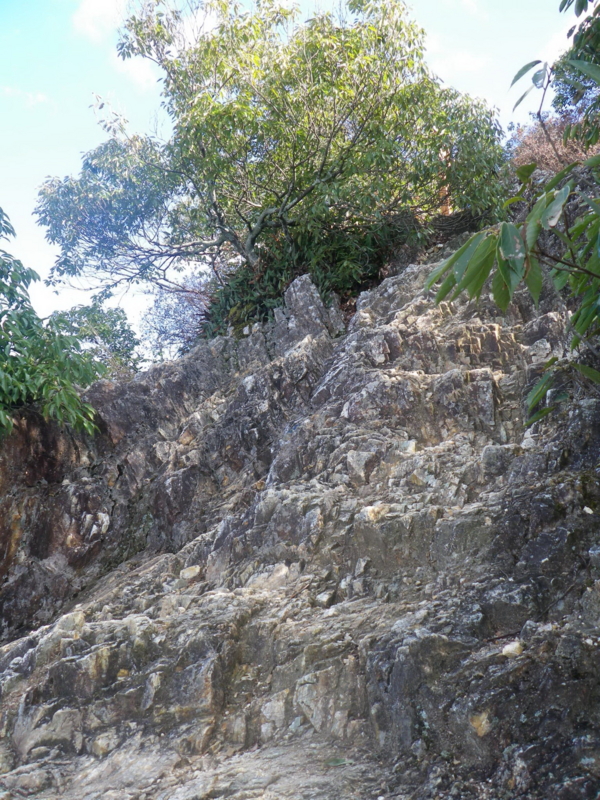 f:id:s-field0808:20130123202553j:image:w360