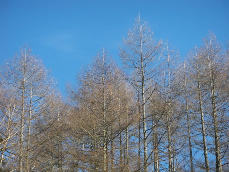 f:id:s-field0808:20130124100513j:image:w360