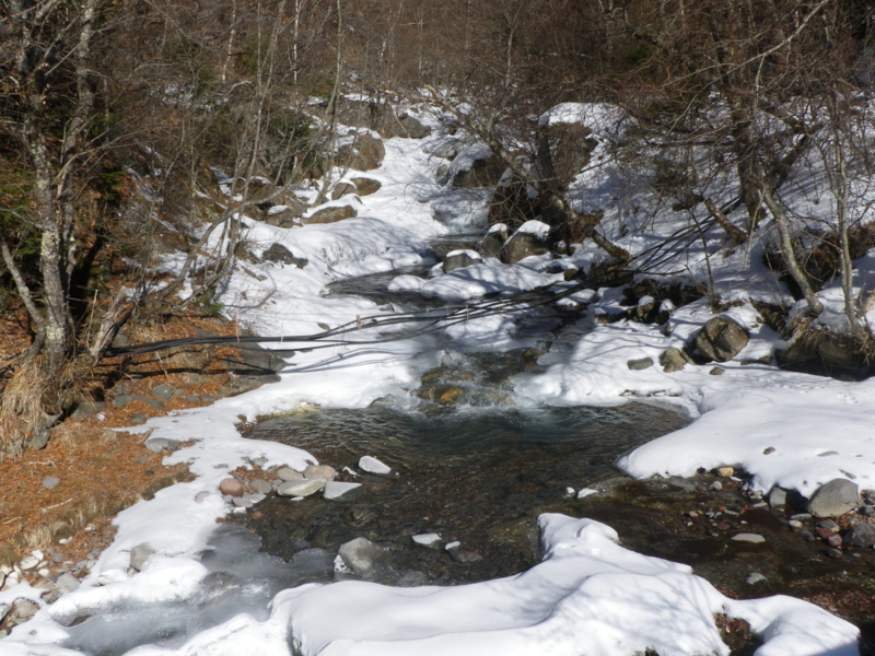 f:id:s-field0808:20130124100517j:image:w360