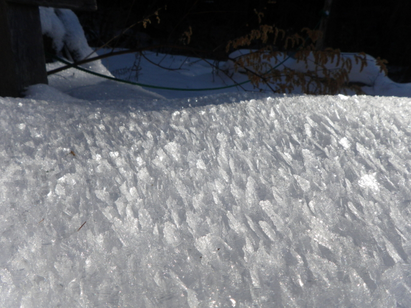 f:id:s-field0808:20130124100731j:image:w360