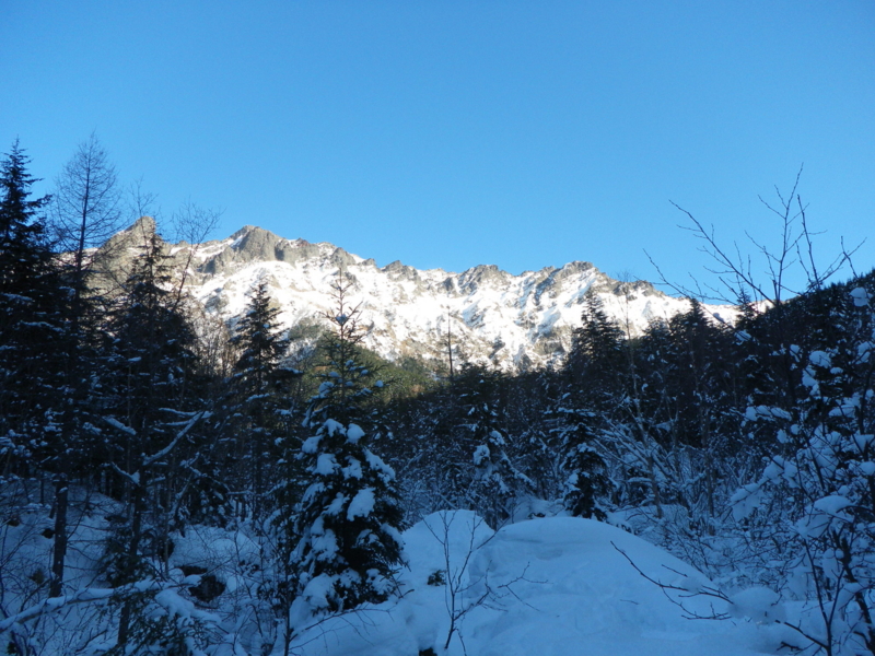 f:id:s-field0808:20130124100843j:image:w360