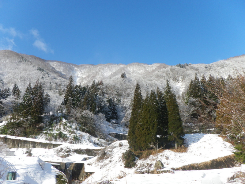 f:id:s-field0808:20130126171023j:image:w360