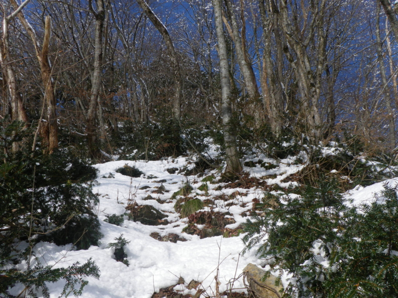 f:id:s-field0808:20130126171053j:image:w360
