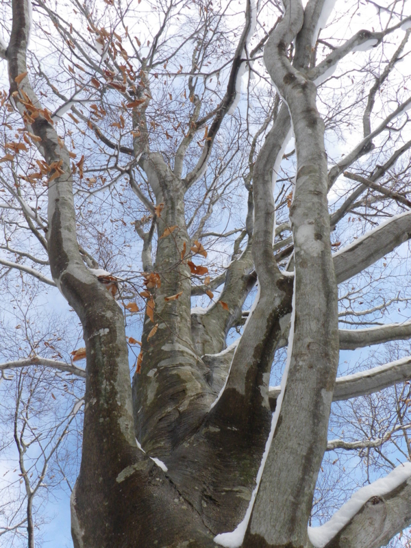 f:id:s-field0808:20130126171344j:image:w360