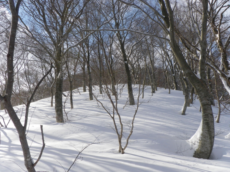 f:id:s-field0808:20130126171349j:image:w360