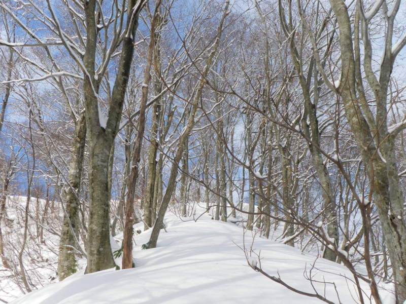 f:id:s-field0808:20130126171354j:image:w360