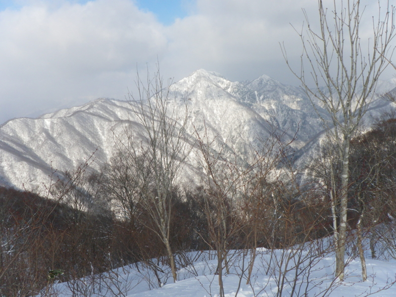 f:id:s-field0808:20130126171804j:image:w360
