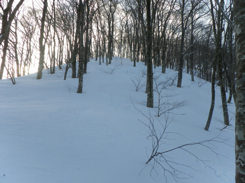 f:id:s-field0808:20130126172037j:image:w360