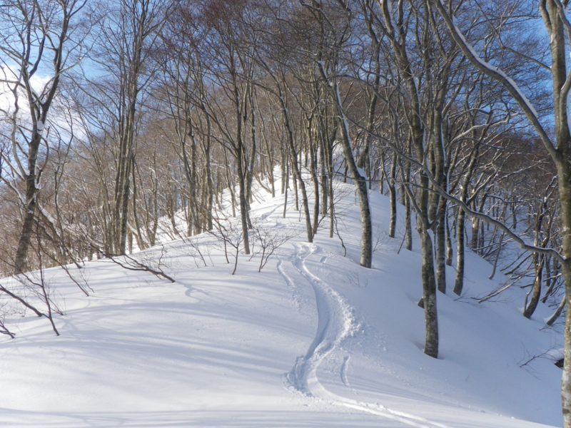 f:id:s-field0808:20130126172042j:image:w360