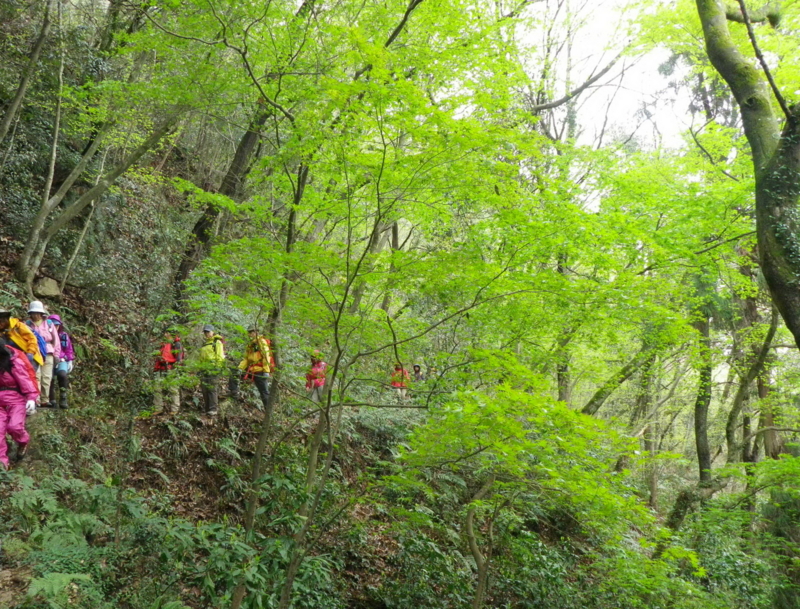 f:id:s-field0808:20130408194927j:image:w360