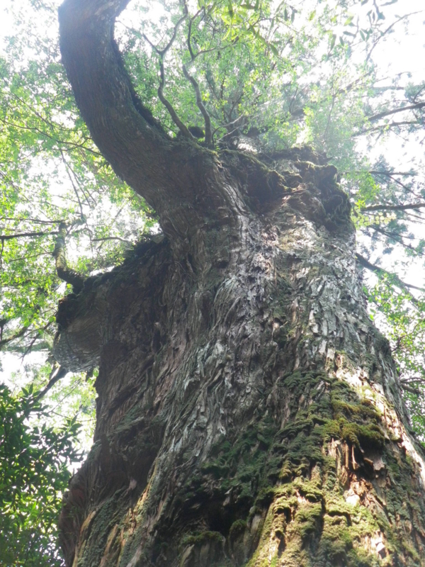 f:id:s-field0808:20130419174907j:image:w360 f:id:s-field0808:20130419174907j:image:w360