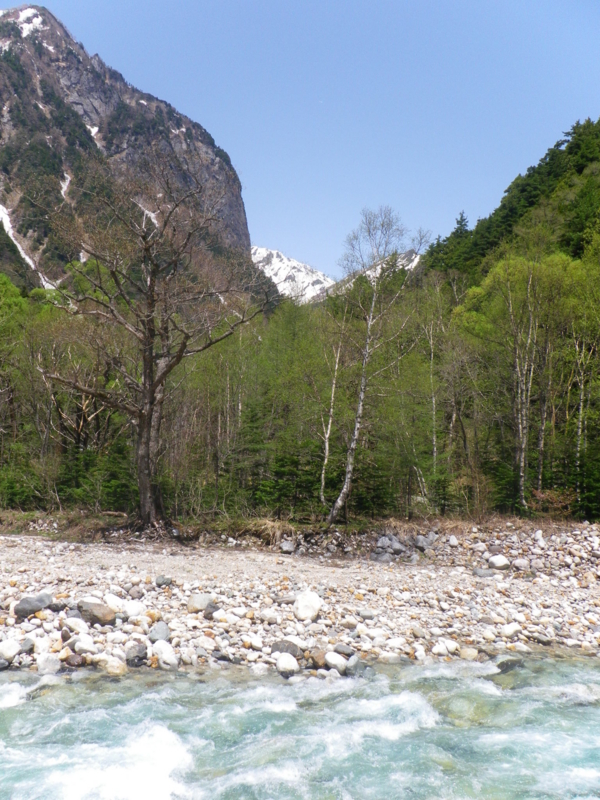 f:id:s-field0808:20130527200528j:image:w360