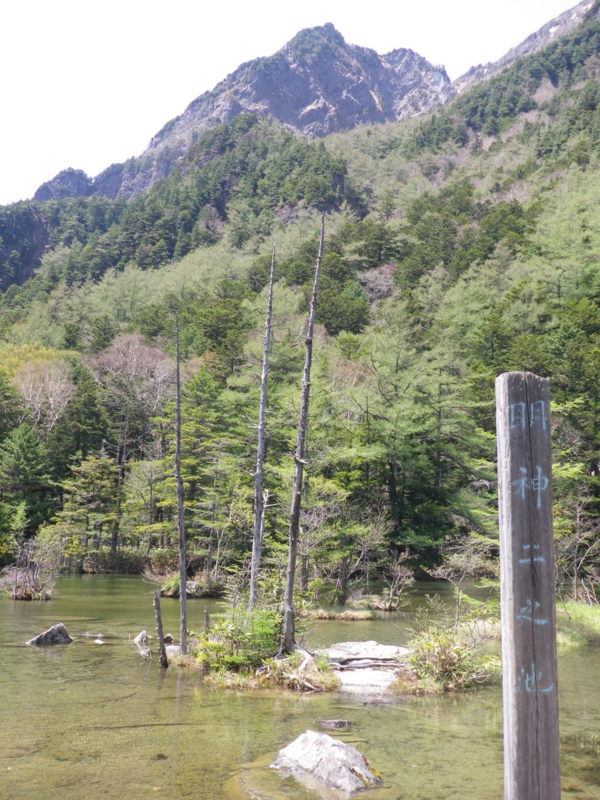 f:id:s-field0808:20130527201215j:image:w360