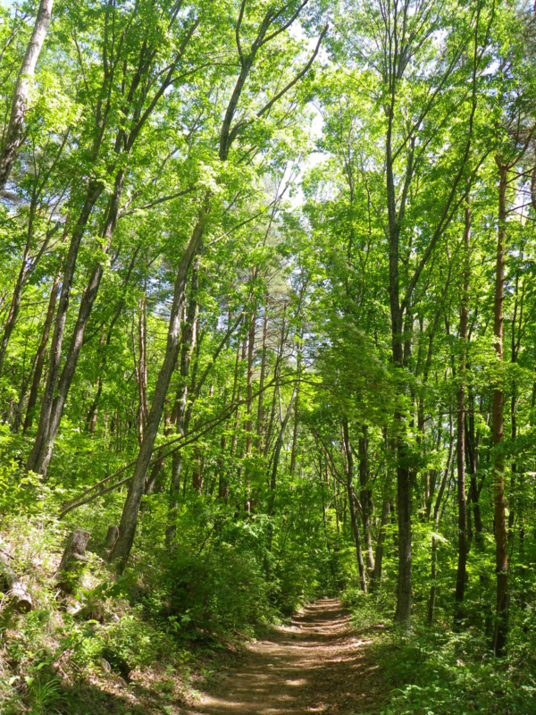f:id:s-field0808:20130610094802j:image:w360