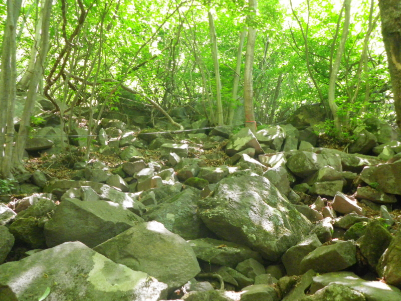 f:id:s-field0808:20130610095024j:image:w360