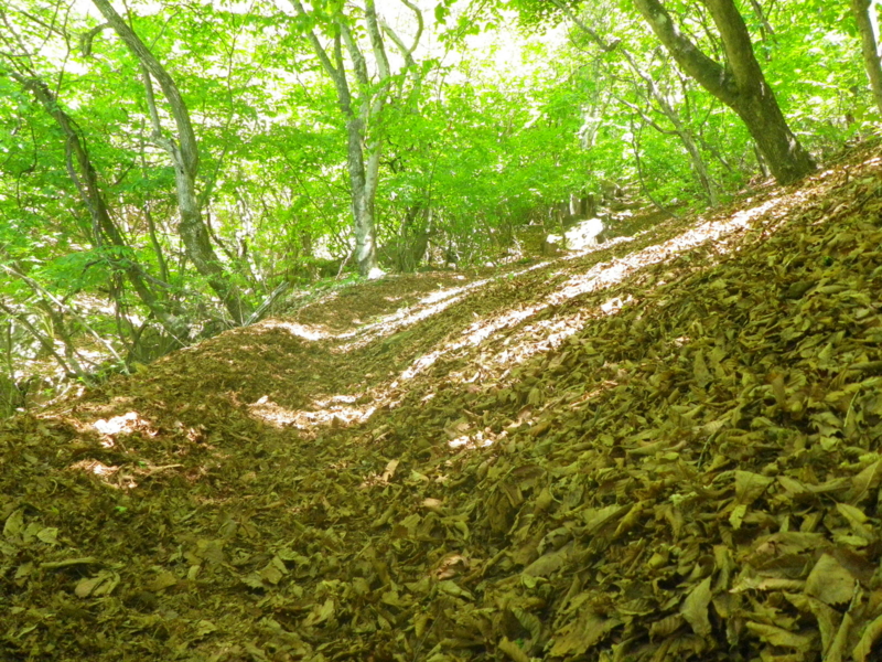 f:id:s-field0808:20130610095246j:image:w360