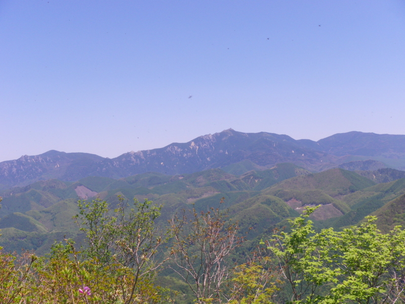 f:id:s-field0808:20130610095949j:image:w360