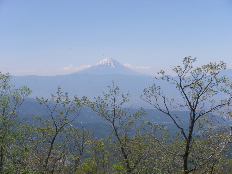 f:id:s-field0808:20130610095955j:image:w360