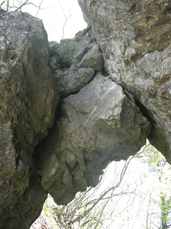 f:id:s-field0808:20130610101358j:image:w360