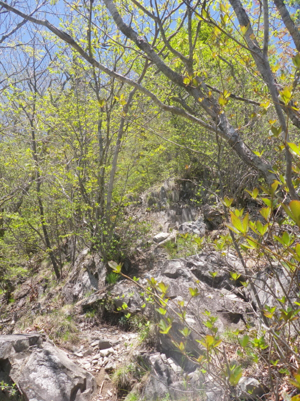 f:id:s-field0808:20130610101653j:image:w360