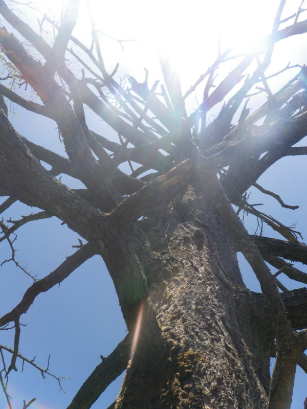 f:id:s-field0808:20130610101658j:image:w360
