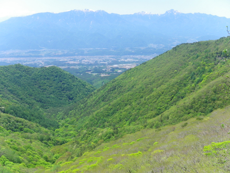 f:id:s-field0808:20130610101930j:image:w360