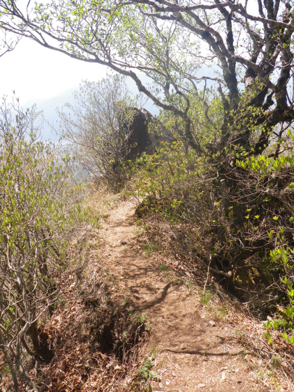 f:id:s-field0808:20130610102529j:image:w360