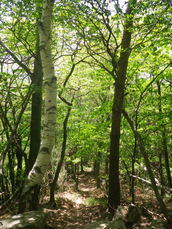 f:id:s-field0808:20130610102927j:image:w360