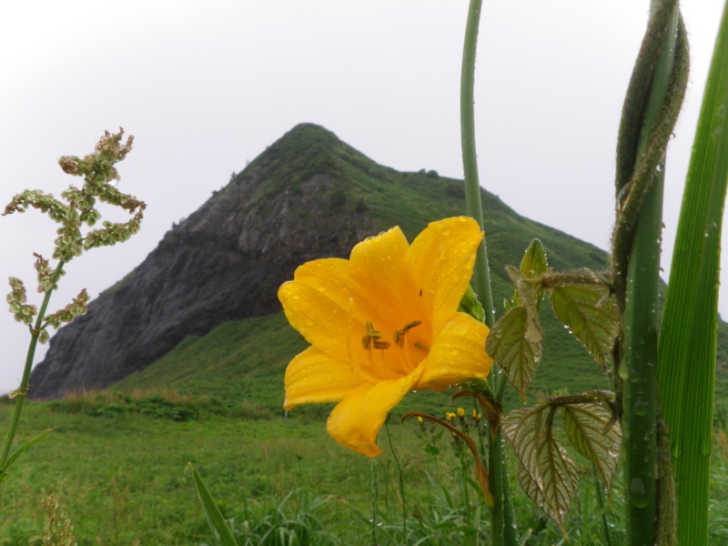 f:id:s-field0808:20130610125639j:image:w360 f:id:s-field0808:20130610125639j:image:w360