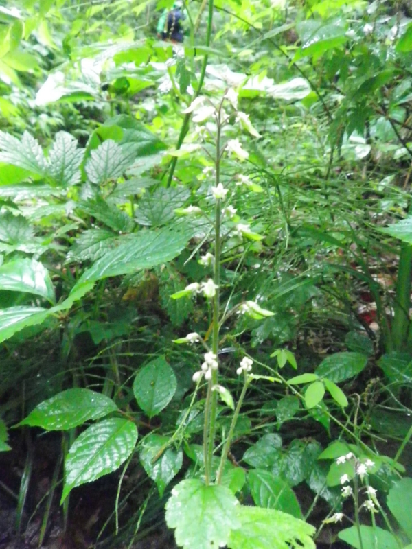 f:id:s-field0808:20130610130529j:image:w360 f:id:s-field0808:20130610130529j:image:w360