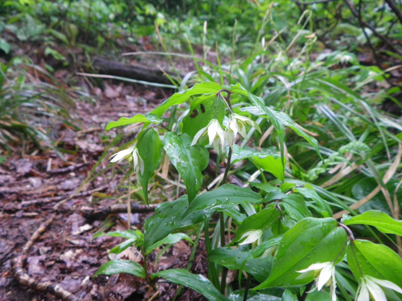 f:id:s-field0808:20130610130943j:image:w360 f:id:s-field0808:20130610130943j:image:w360