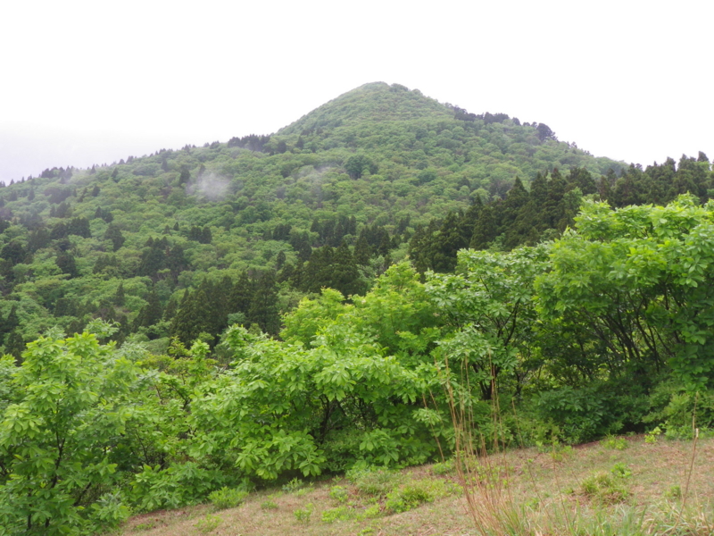 f:id:s-field0808:20130610131118j:image:w360 f:id:s-field0808:20130610131118j:image:w360