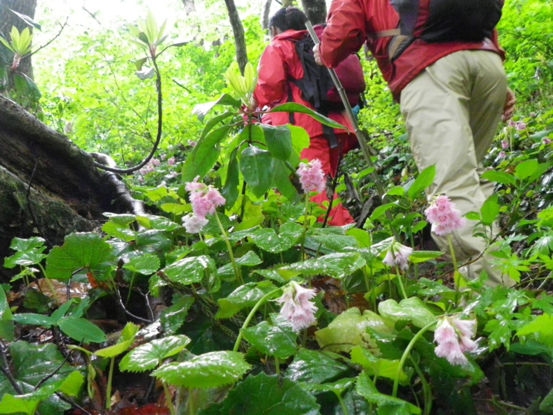 f:id:s-field0808:20130610131231j:image:w360 f:id:s-field0808:20130610131231j:image:w360