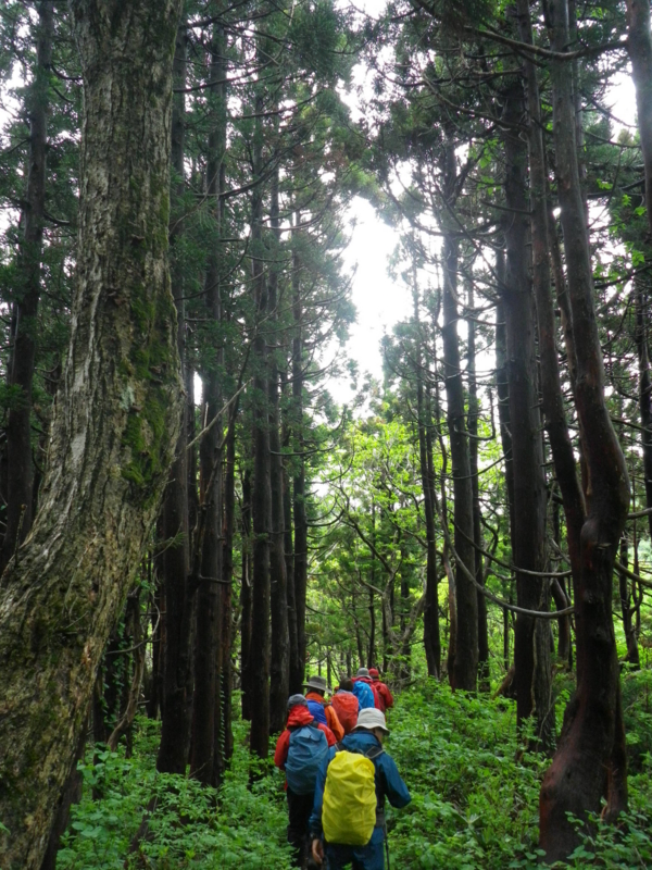 f:id:s-field0808:20130610131533j:image:w360 f:id:s-field0808:20130610131533j:image:w360