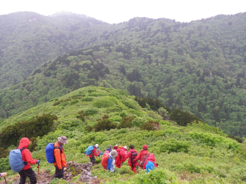 f:id:s-field0808:20130610131538j:image:w360 f:id:s-field0808:20130610131538j:image:w360