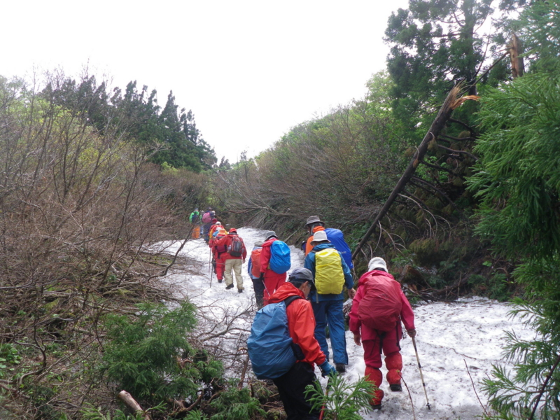 f:id:s-field0808:20130610132221j:image:w360 f:id:s-field0808:20130610132221j:image:w360